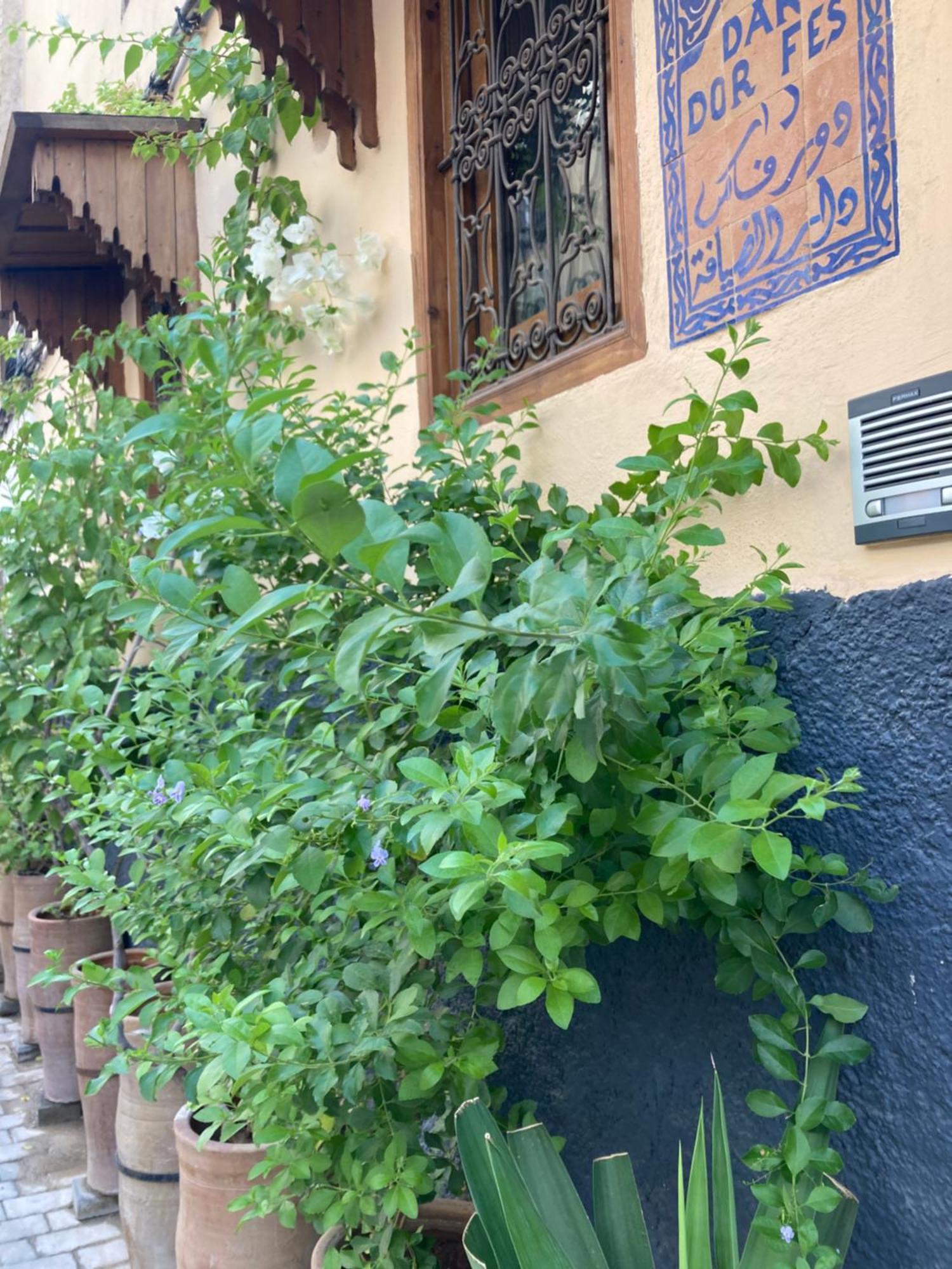 Hotel Dar D'Or Fès Exteriér fotografie